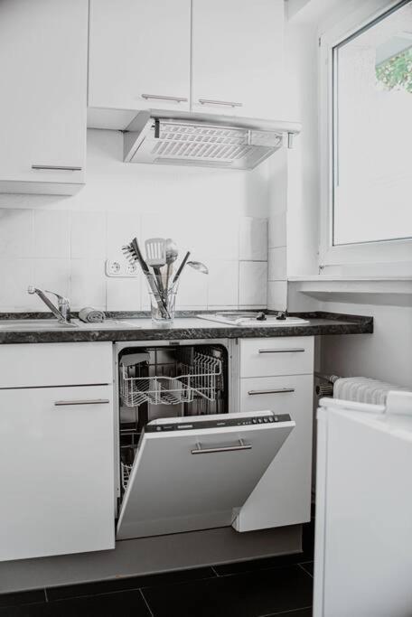 Wiesbaden - Apartment Im Nerotal Eksteriør bilde